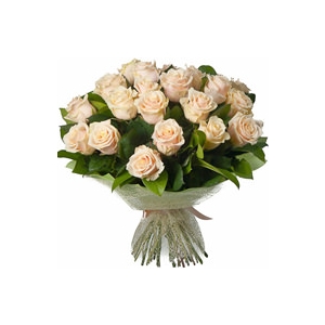 Kimp kreemidest roosidest 40cm-50cm, 21tk.