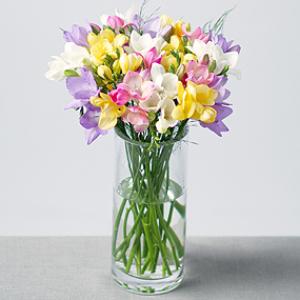 Freesia 45cm