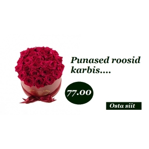 Punased roosid karbis 19-25 tk.