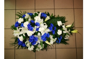 Leinakimp 65-70cm, valged+sinised lilled