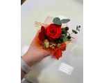 Kimp punastest roosidest , 40-50cm