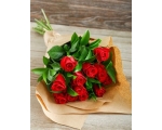 Kimp punastest roosidest 15tk., 40-50cm