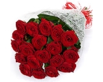 Kimp kollastest roosidest 40cm-50cm 17tk.