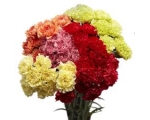 Kimp värvilistest roosidest 40-50cm,15tk.+kaunistus